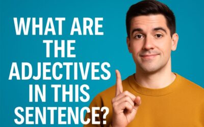 What Are the Adjectives in This Sentence? Understanding Adjectives